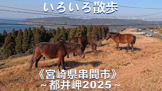 いろいろ散歩（４K）．．．《宮崎県串間市》～都井岬2025～