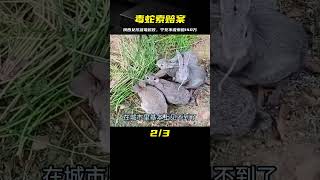 陜西女孩網購毒蛇被咬，搶救時寧死不說是什么蛇，母親索賠140萬 #社会新闻 #家庭悲剧 #失踪寻亲 #诈骗案件 #逆袭故事