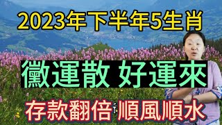 時來運轉！下半年開始！這5大生肖！霉運散盡！好運連連！開啟淘金模式！存款翻倍增長！一切順風順水！吉祥如意！