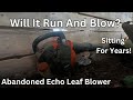 Will This Abandoned Leaf Blower Run And Blow?