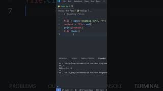 Python Basics: READ FILES in Under a Minute! 👓📂