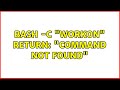 bash -c 