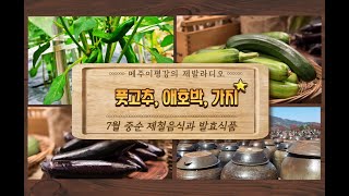 [메주 이평강의 제발라디오] 7월 중순 제철음식과 발효식품