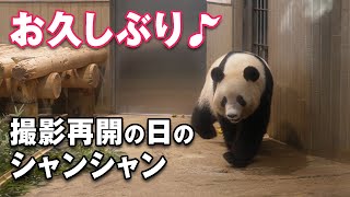 2021/11/20 大盛況！撮影解禁になったシャンシャン♪