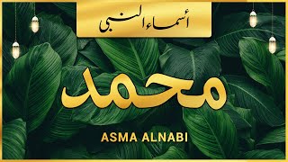 Asma ul Nabi | Names of Prophet Muhammad SAW | اسماء النبی ﷺ