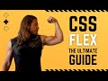 The Only CSS Flexbox Properties You Need | The Ultimate Flex Guide