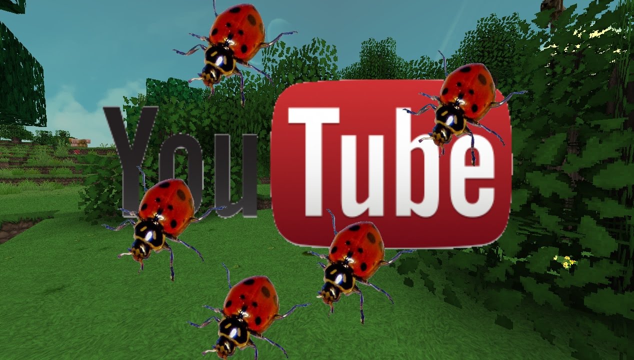 Youtube Bug Youtube Youtube Bug Youtube