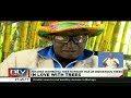 in love with trees 91 year old man leads kakamega in tree planting drive