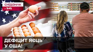 Шалені ЦІНИ та БІЙКИ за товар! У супермаркетах США справжній АЖІОТАЖ через дефіцит курячих яєць!