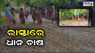 ରାସ୍ତାରେ ଧାନ ଚାଷ | Odia News Live Updates | Latest Odia News | Samayalive