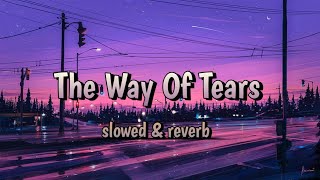 The Way Of Tears Lofi 🥀 (slowed & reverb) ￼