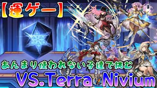 【アナデン】【運ゲー】あんまり使われない子達VS.Terra Nivium！！【アナザーエデン】【Another Eden】