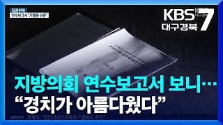 [집중취재] 지방의회 연수보고서 보니…“경치가 아름다웠다” / KBS  2023.06.05.