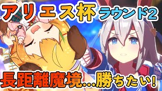 【ウマ娘/女性実況】アリエス杯　ラウンド2 長距離魔境に挑戦…！タマモクロス/オグリキャップ/ミスターシービー【わんこわんわん/STAR SPECTRE】