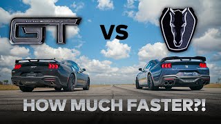 2024 Ford Mustang GT vs. Dark Horse Mustang // Stock Comparison // Dig and Roll