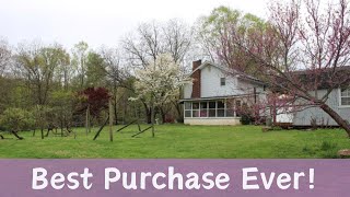 Gorgeous 36 Acre Homestead Property Tour! Blueberries, Grapes, Fruit Trees, Woods, Creeks and More!