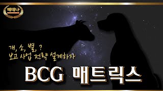 경제경영이론용어 I 사업에도 포트폴리오가 필요하답니다. BCG 매트릭스!