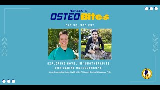 Exploring Novel Immunotherapies for Canine Osteosarcoma