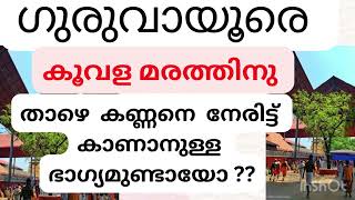 ഗുരുവായൂരപ്പനെ നേരിട്ട് കണ്ടത് ഇവിടെ ❤️