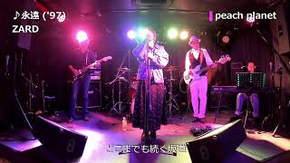 4. 永遠 ZARD Cover peach planet（ももプラ） 2020.02.23 @EN-LAB