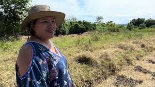 Descubre el cultivo que hemos sembrado en La Nueva Finca del PATECHUCHO