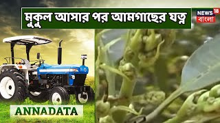 আজকের Annadata-এ মুকুল আসার পর আমগাছের যত্ন