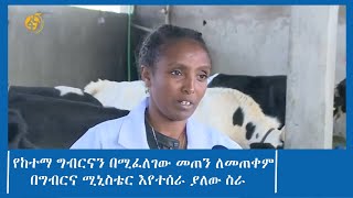 የከተማ ግብርናን በሚፈለገው መጠን ለመጠቀም በግብርና ሚኒስቴር እየተሰራ ያለው ስራ