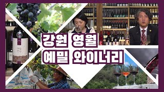 [한국와인] 강원 영월 김삿갓마을 예밀 와이너리 [예밀 와인]