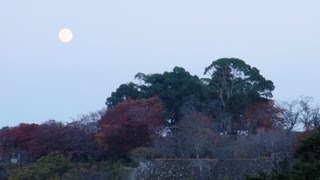 大分竹田 秋の岡城 Okajyo-Taketa,Oita