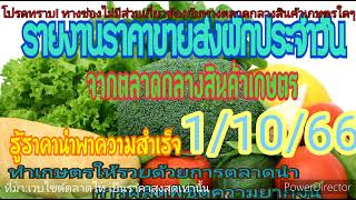 ราคาผักวันนี้ เช็คราคาผัก สำรวจราคาผัก อัพเดทราคาผักวันนี้ 1/10/66