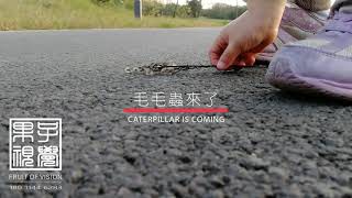 fruit of vision·caterpillar果子視覺·毛毛蟲