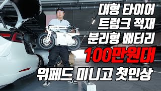 100만원대?! 역대급 대리운전용 대형타이어 모빌리티 첫인상 (위페드 미니고)