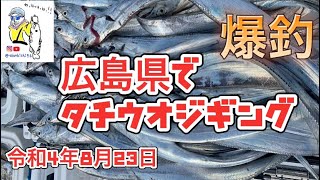 【広島県尾道出船、タチウオジギング最前線】