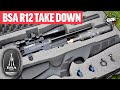 NEW AIRGUN REVIEW! THE BSA R12 TAKE DOWN