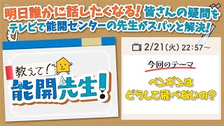 第4回テーマ「ペンギンはどうして飛べないの？」｜教えて！能開先生！（2023年2月21日放送）