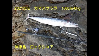 カマスサワラ　Wahoo 108cm/6kg　ロックショア　神津島