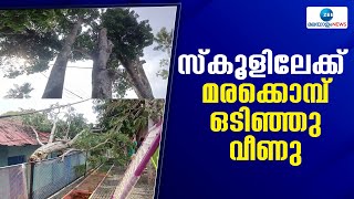 Kottayam | കോട്ടയത്ത് സ്കൂൾ കെട്ടിടത്തിനു മുകളിലേക്ക് മരക്കൊമ്പ് ഒടിഞ്ഞു വീണു