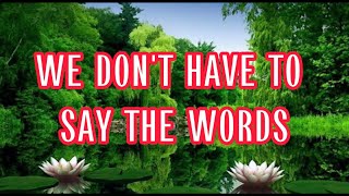 WE DON'T HAVE TO SAY THE WORDS - GERARD JOLING LYRICS VIDEO