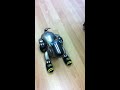 aibo ball trick