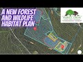 A Forest and Deer Habitat Improvement Plan