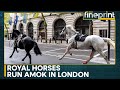 UK: Royal Cavalry Horses run amok in central London | WION Fineprint