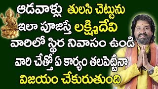 ఆడవాళ్లు తులసి చెట్టును ఇలా పూజిస్తే ఆ ఇంట్లో లక్ష్మీదేవి స్థిర నివాసం తథ్యం | Lakshmi Kataksham