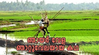 രസകരമായ ഞാറ്റുവേല പഴഞ്ചൊല്ലുകൾ