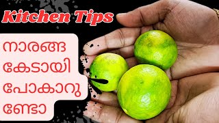 How to store Lemon ! നാരങ്ങ ചിഞ്ഞു പോകുക, ഉണങ്ങി പോകുക ഇങ്ങനെ ഉളള പ്രശ്നങ്ങൾക്ക് ഇതാ ഒരു പരിഹാരം