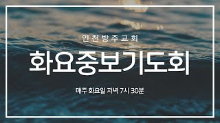 2022. 10. 25 인천방주교회 화요중보기도회 (주님께서 원하시는 기도 / 누가복음 18장 9-14절 / 김승진 목사 )