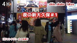 4Kぶらぶら散歩【夜の 新大久保 13#1】【韓国グルメと韓国コスメ】大久保通り shin_okubo tokyo japan