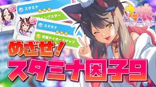 【ウマ娘】因子厳選！スタミナ因子ループでめざせスタミナ因子9！！ #ウマ娘プリティーダービー【新人Vtuber／蘇芳またたび】