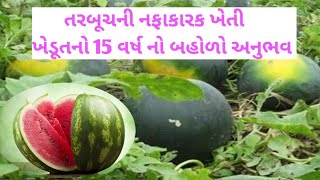 તરબૂચ ની ખેતીમાં ખેડૂત નો 15 વર્ષ નો અનુભવ | Watermelon Farming | #watermelon #successstory