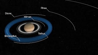 Enceladus Plume and Torus