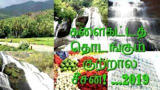 Kutrallam falls tour 2019|courtallam falls |kutrallam tourist places| Kasiviswanathar temple tenkasi